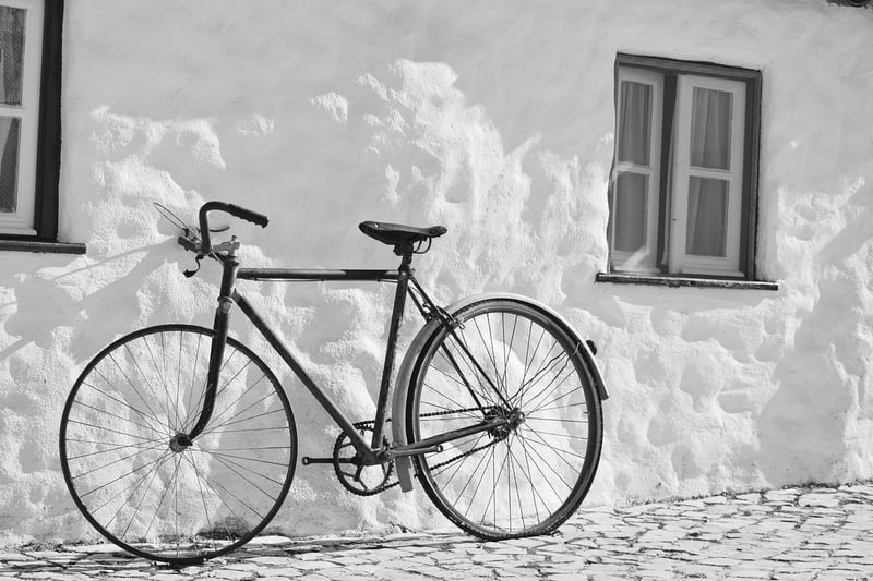 Bicycle Wheel Trellis